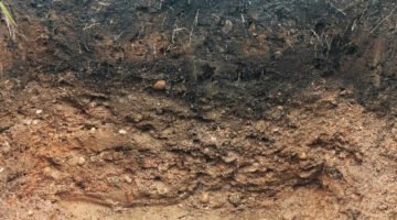 Schadstoffe in Bodenschichten, Detailaufnahme